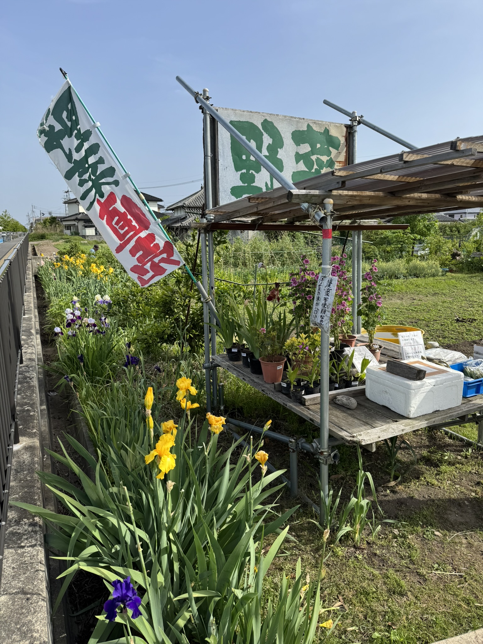 竹松地区エリア【大村市・竹松町】竹松公民館そば、のぼりが目印の無人販売所!野菜やお花がずらり♪ - ころらん@長崎blog