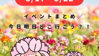 3/16-3/22【大村】イベントまとめ。今日どこ行こう。明日どこ行こう。